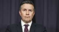 Minister for Health and Aged Care Mark Butler during a press conference at Parliament House.