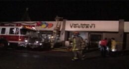 Timeline of the Texas yogurt shop cold case investigation