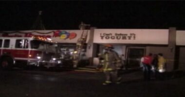 Timeline of the Texas yogurt shop cold case investigation