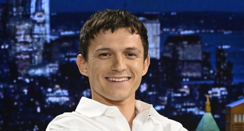 Tom Holland Says He's 'On the Mend' Following 'Spider-Man’ Onset Concussion