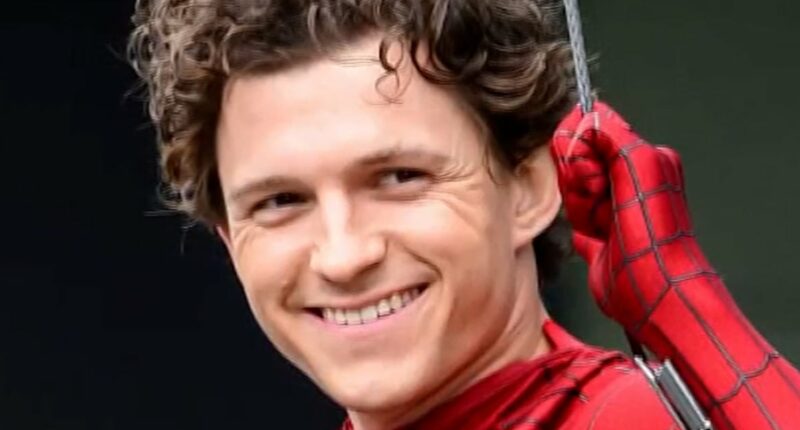 Tom Holland suffers concussion on Spider-Man set