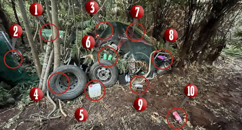 Tom Phillips bush hideout: Ten key details revealed in fugitive father's remote New Zealand campsite where he hid out with his three children - and what's MISSING from this pic