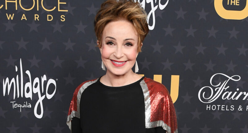 Tragic Details About Annie Potts From Young Sheldon