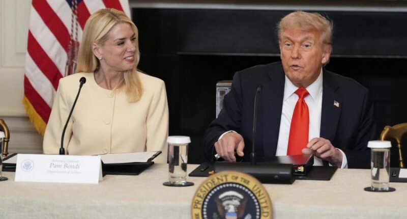 Trump, Pam Bondi applaud crime crackdown on holiday weekend