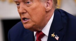 Trump: Some tariff revenue will go to US farmers