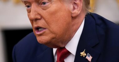 Trump: Some tariff revenue will go to US farmers