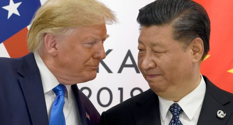 Trump, Xi to talk TikTok and trade in pivotal meeting
