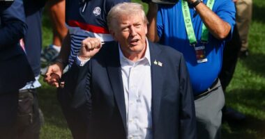 Trump announces more levies, says some tariff revenue will go to farmers