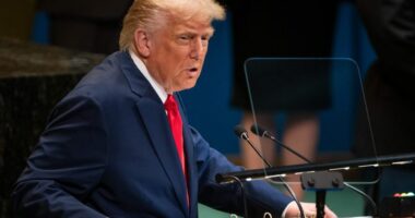 Trump calls for 'triple sabotage' investigation over UN escalator, teleprompter, audio issues