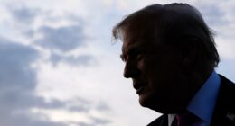 Trump embraces AI in new White House social media strategy
