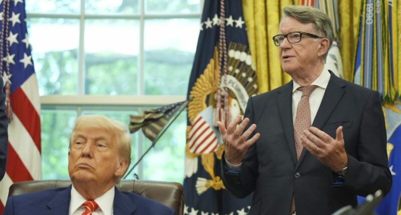 Trump has ‘iron-clad’ stomach for political risk: UK ambassador Peter Mandelson