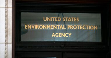 Trump narrows scope of safety reviews for some chemicals