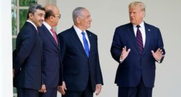 Trump says he will not allow Israel to annex the West Bank