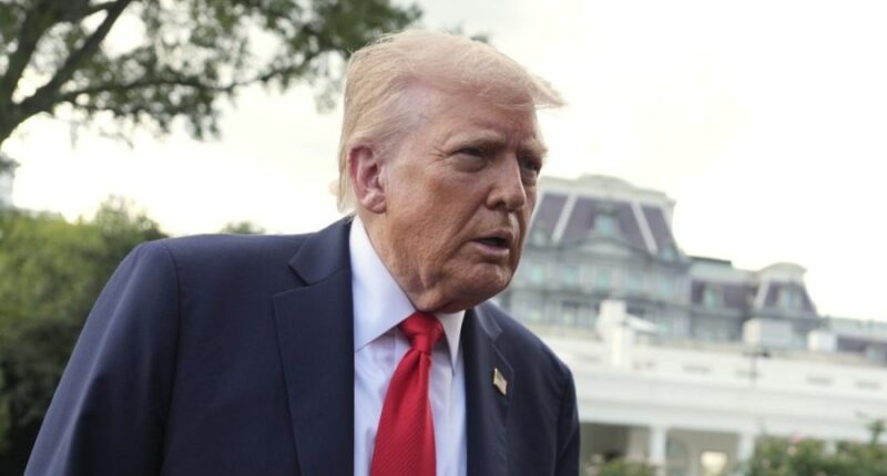 Trump suggests TikTok deal reached during talks with China