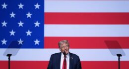 Trump suggests using 'dangerous' cities as military 'training grounds'