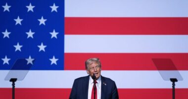 Trump suggests using 'dangerous' cities as military 'training grounds'