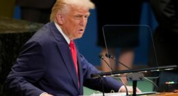 Trump tells UN countries they're 'going to hell' on immigration