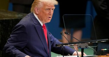 Trump tells UN countries they're 'going to hell' on immigration