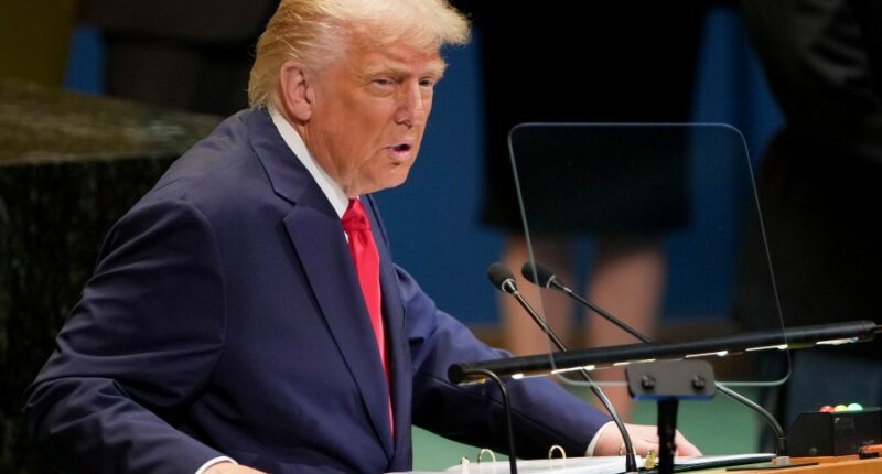 Trump tells UN countries they're 'going to hell' on immigration