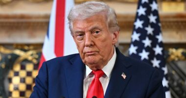 Trump tells pregnant women 'don't take' Tylenol, contradicting standard guidance