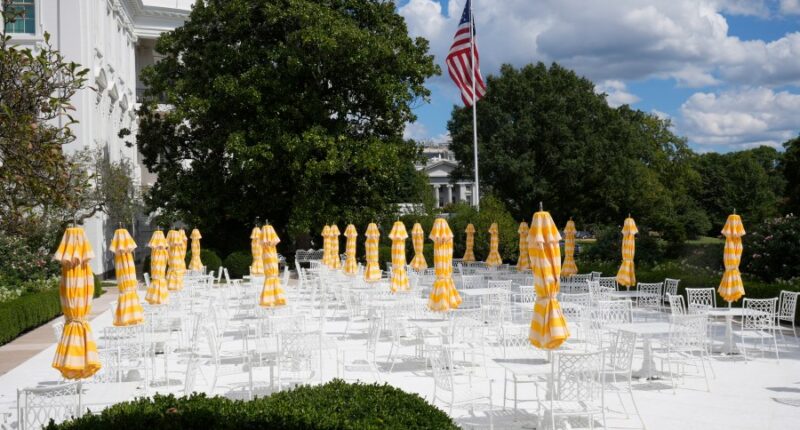Trump will host top tech CEOs at a White House dinner. Musk won't be there