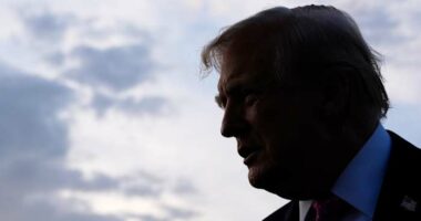 Trump's team keeps posting AI portraits of him. We keep clicking
