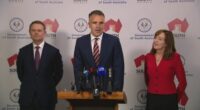 Two of South Australia's most senior cabinet ministers, Deputy Premier Susan Close and Treasurer Stephen Mullighan, will quit politics at next year's state election in March.