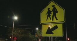 Two pedestrians hit at same intersection, police talk crosswalk safety