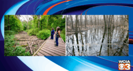 U of I study finds majority of Illinois wetlands no longer federally protected