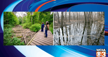 U of I study finds majority of Illinois wetlands no longer federally protected