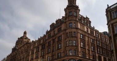 Harrods, the luxury British department store, has warned some customers that their personal data may have been taken in a breach of its online systems.
