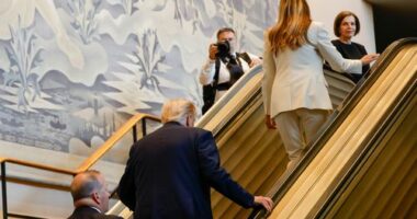 UN says Trump team to blame for escalator shutdown