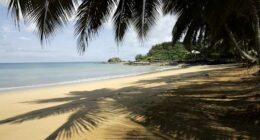 UNESCO designates 26 new biosphere reserves amid biodiversity challenges and climate change