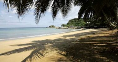 UNESCO designates 26 new biosphere reserves amid biodiversity challenges and climate change