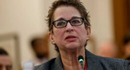 US House members hear pleas for tougher justice policies after stabbing death of refugee