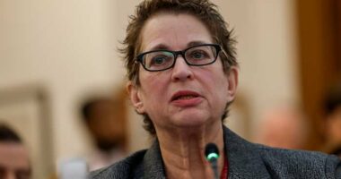 US House members hear pleas for tougher justice policies after stabbing death of refugee