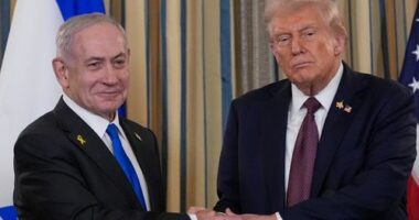 US, Israel announce Gaza peace deal, but will Hamas accept it?