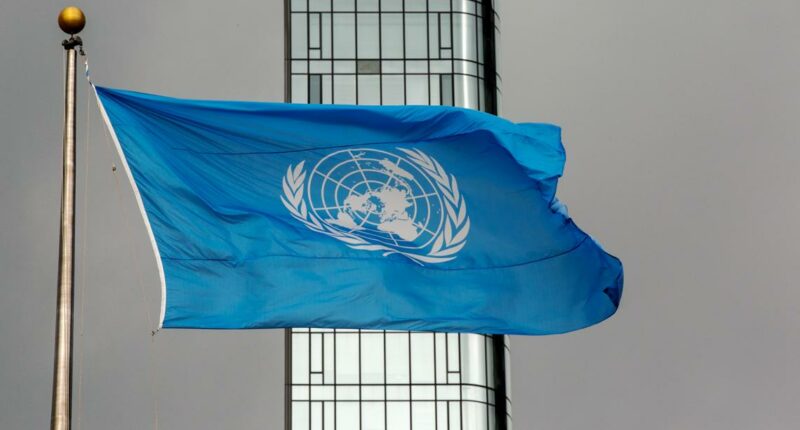 US vetoes UN resolution on Gaza ceasefire, divides allies