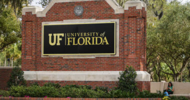 University of Florida under alert after gunshots reported at library