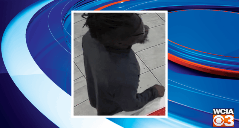 Urbana Police, Crime Stoppers seeking tips in McDonald's battery case