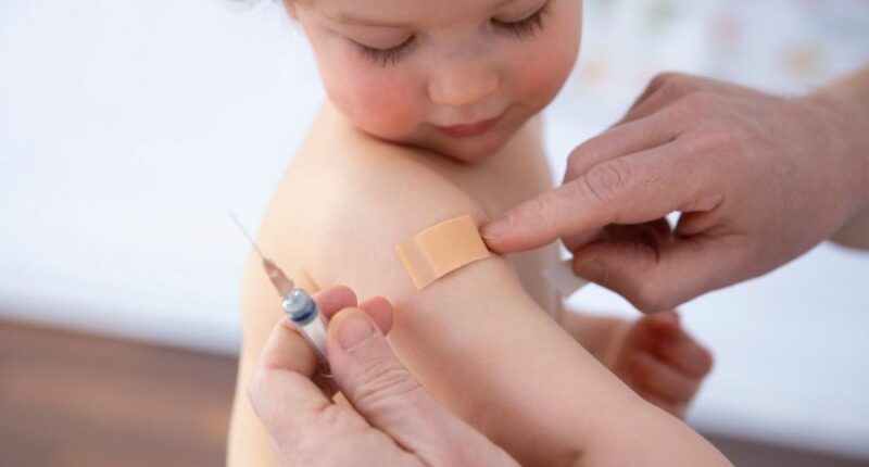 Vaccine panel cancels vote on delaying hep B vaccine for newborns