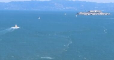 Video: Breaching whale recorded from Golden Gate Bridge