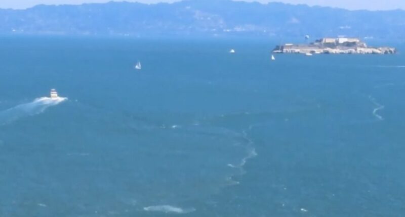 Video: Breaching whale recorded from Golden Gate Bridge