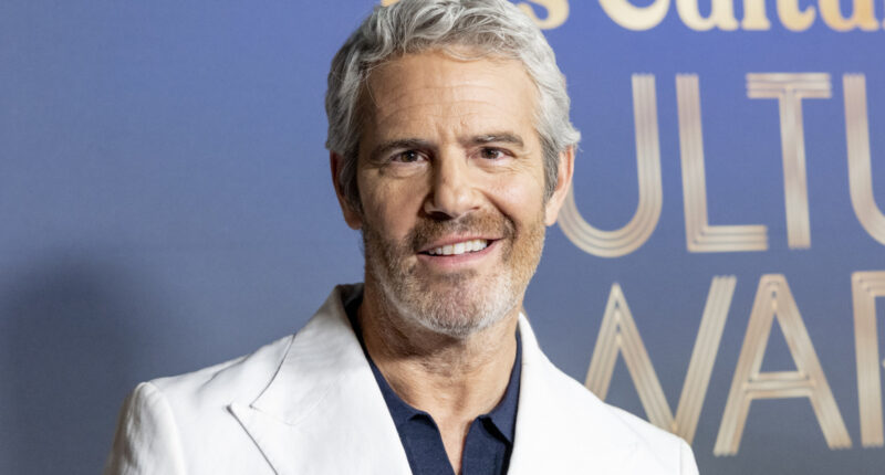 Was The Real Housewives Of Dubai Canceled? Here's What Andy Cohen Said