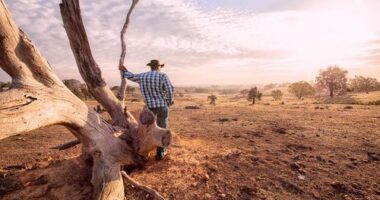 Water taps risk running dry in vast swathes of Australia