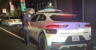 Waymo pulled over by police officer during DUI enforcement operation