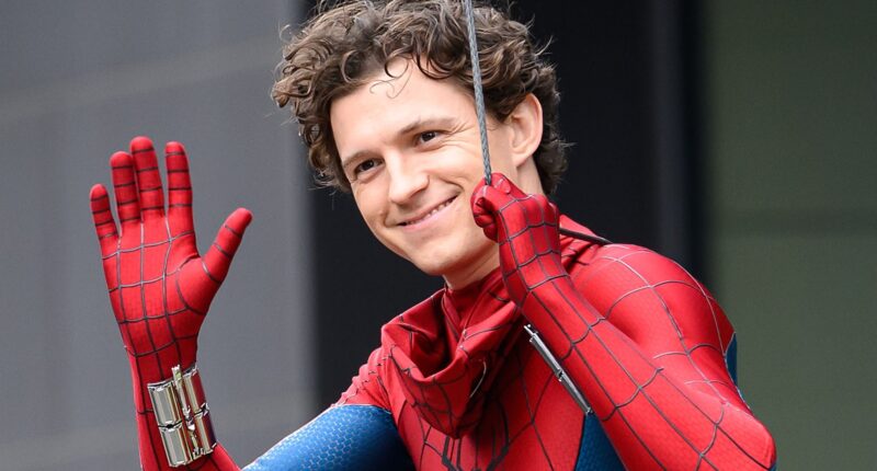 We Predict The Plot Of Spider-Man: Brand New Day