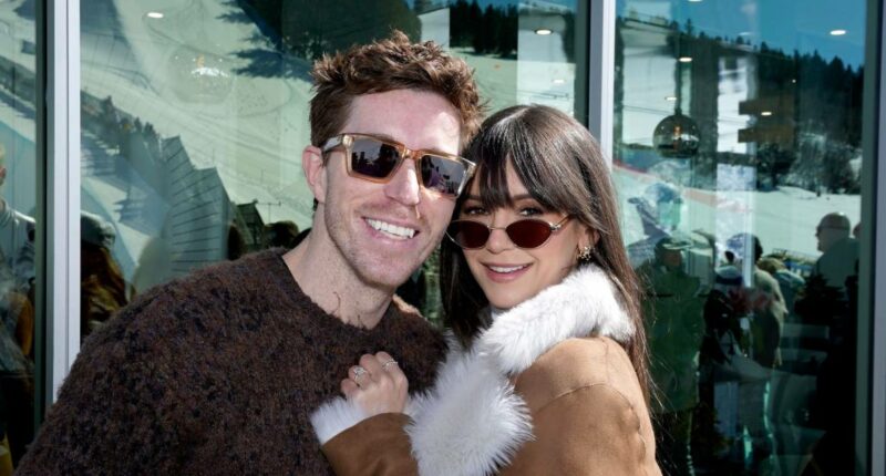 What We Know About Nina Dobrev and Shaun White's Split