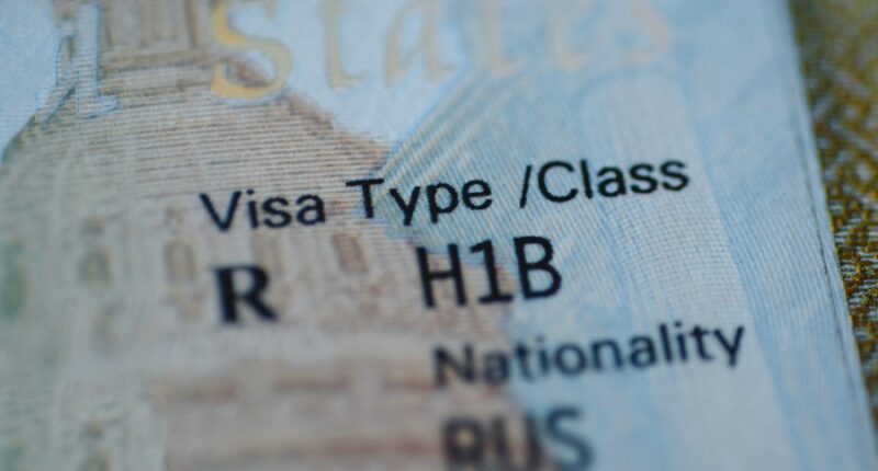 What are H-1B visas, and how do they work?
