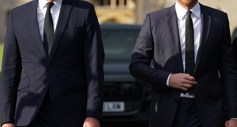 Where Prince Harry & Prince William Stand After Years-Long Feud